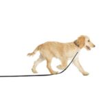 COA Lightweight Recall Line for Puppies