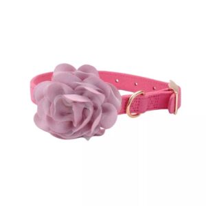 COASTAL Accent Dog Collar, Pink Flower