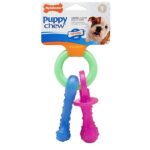 NYLABONE Puppy Chew Teething Pacifier