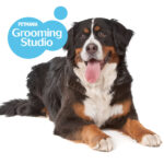 Giant Long/Heavy-Coated Breed, 12 Month Grooming Plan
