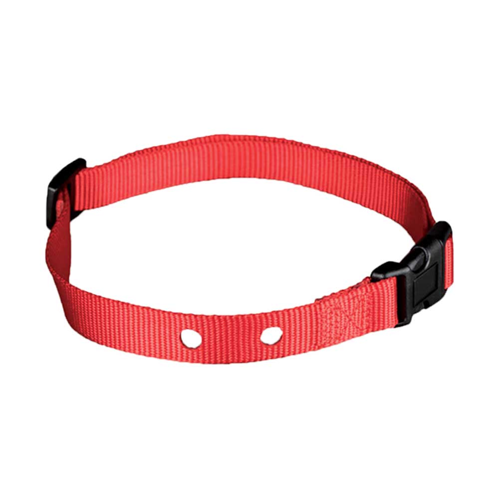 PETSAFE Replacement Collar