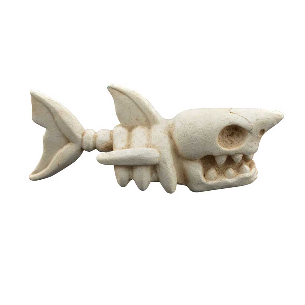 BETTA Small Shark Skeleton