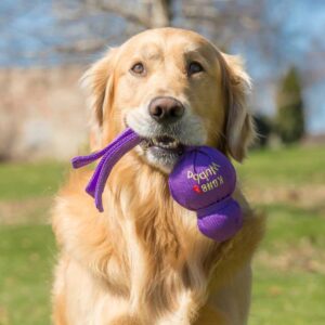 KONG Wubba Large Dog Tug Toy