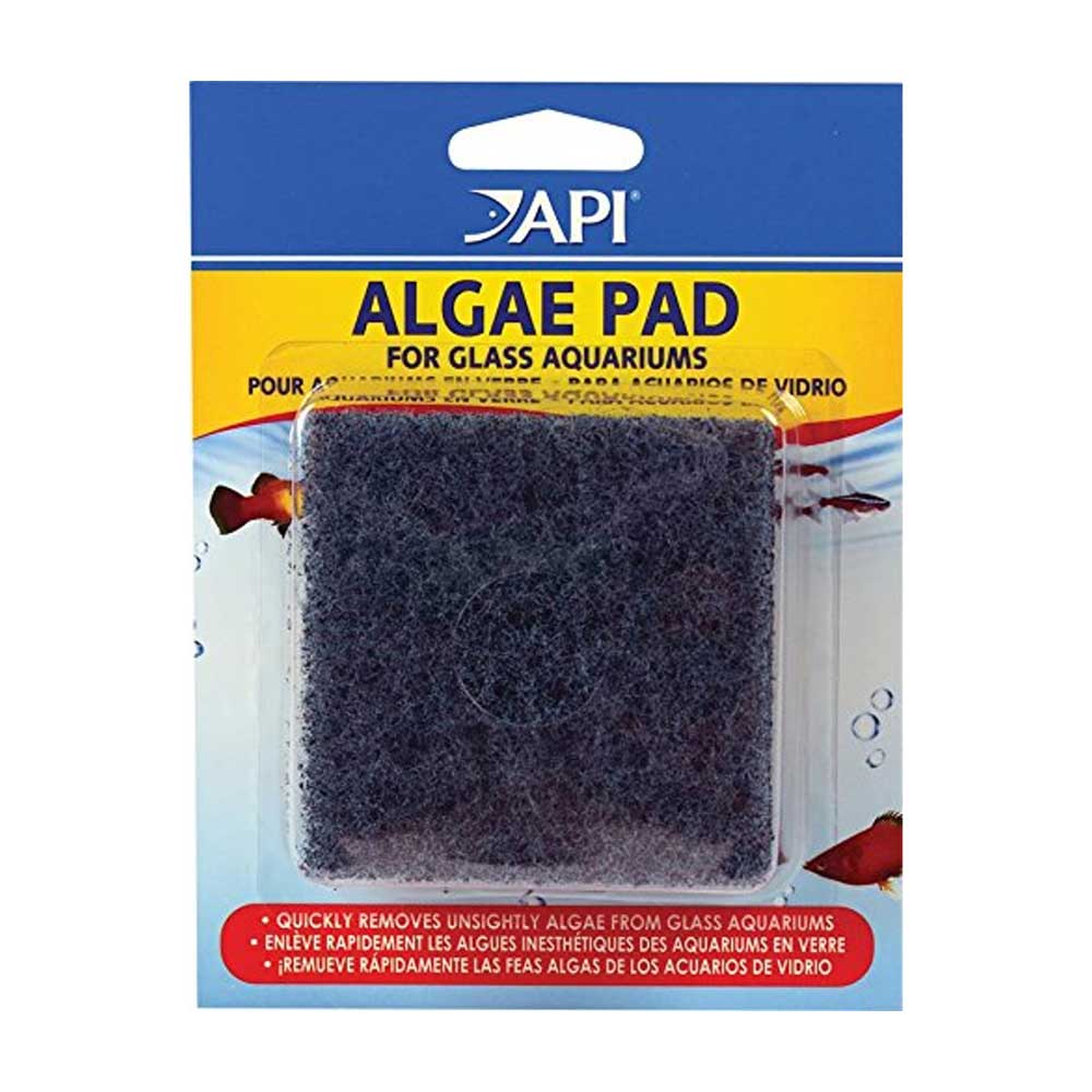 API Algae Pad for Glass Tanks