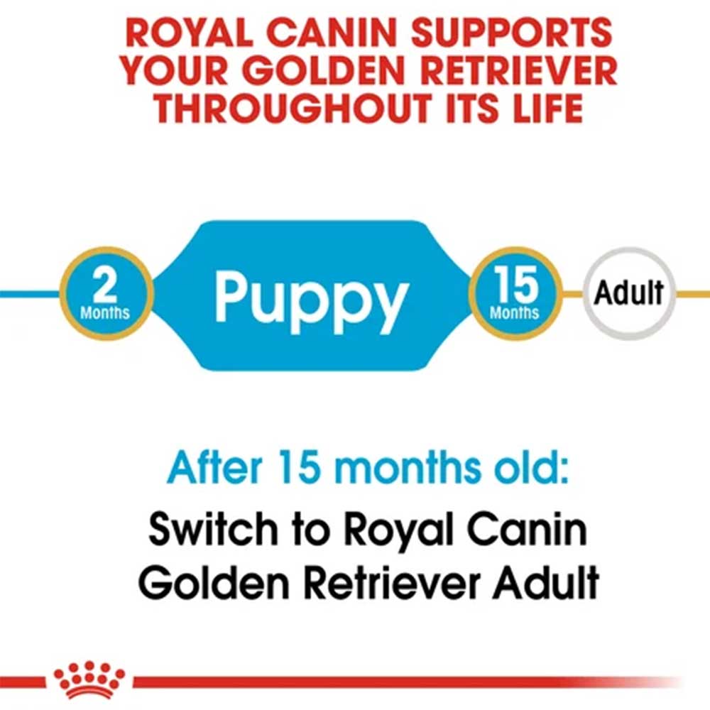 ROYAL CANIN Golden Retriever Puppy, 12kg