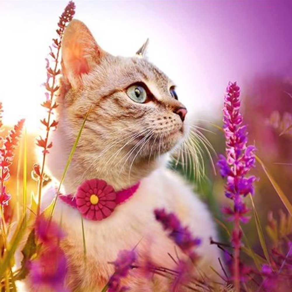SAFE CAT Embellished Collar, Pink Flower