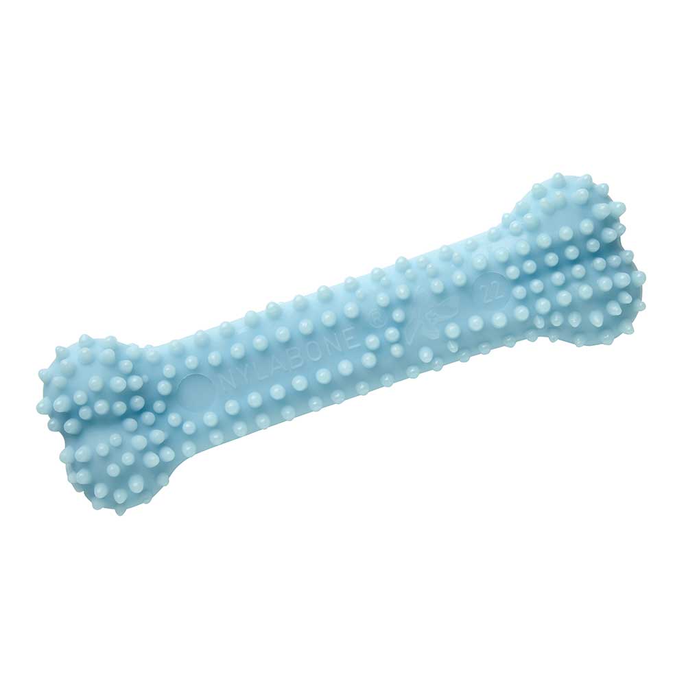 NYLABONE XS Puppy Dental Chew, Blue