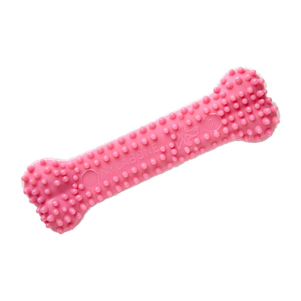 NYLABONE XS Puppy Dental Toy, Pink