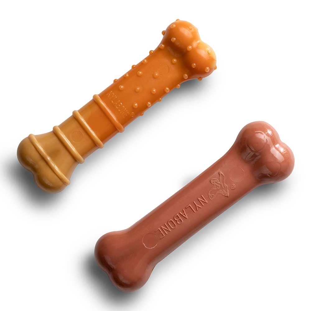 NYLABONE Small Puppy Extreme Chew, Twin Pack