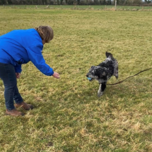 dog trainer samantha rawson and her dog rascal recall training