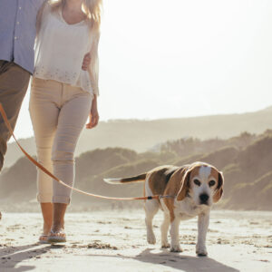 couple walking on beach with dog-1