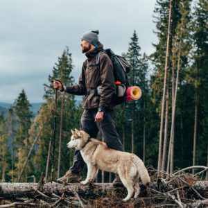 dog and owner walking through wooded area