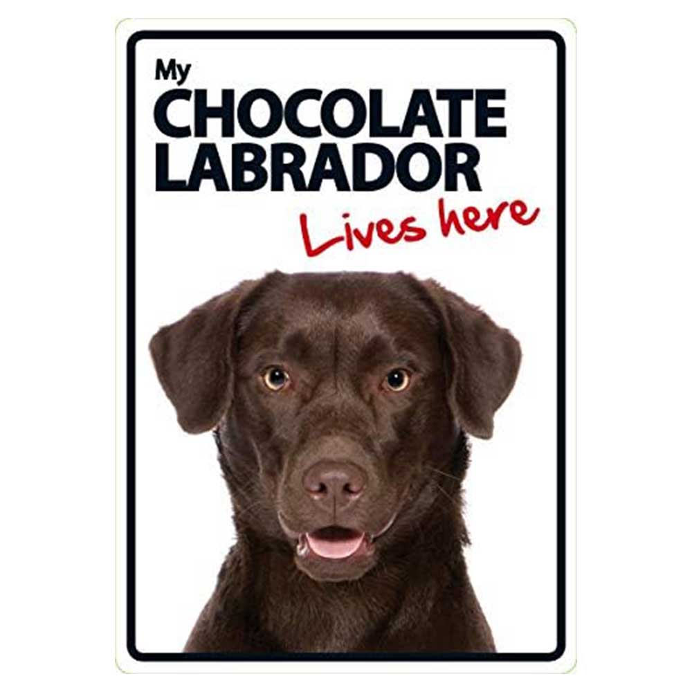 My Chocolate Labrador Lives Here Sign