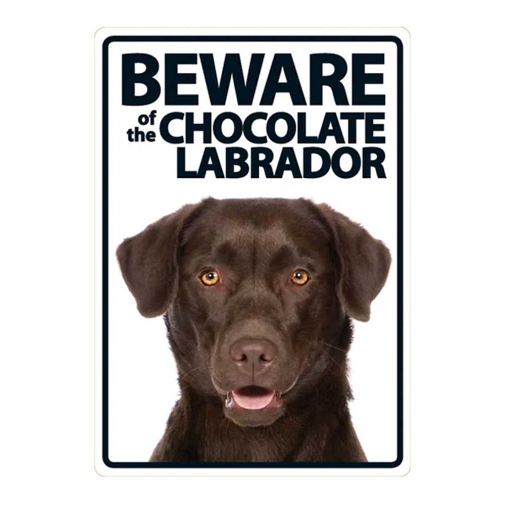 Beware Of The Chocolate Labrador Sign
