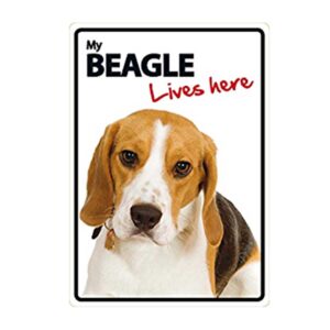 My Beagle Lives Here Sign