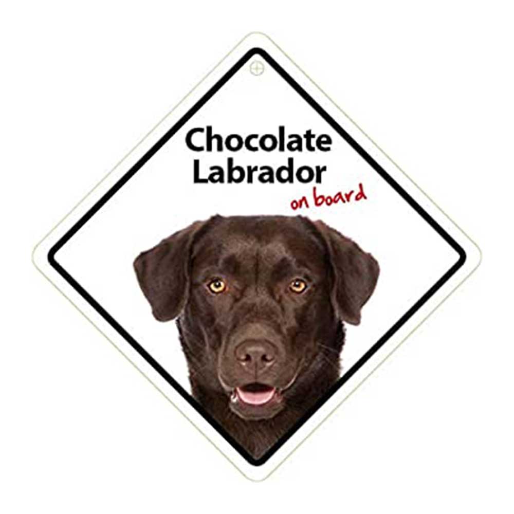 Chocolate Labrador On Board Sign