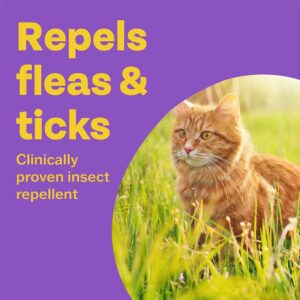 BOB MARTIN Clear Spot-On for Cats, 12 Week Treatment