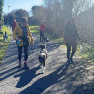 Petmania Dog Walk 2022, Westport Greenway