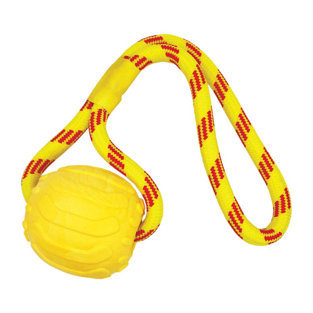 HAPPY PET Floating Ball on Rope