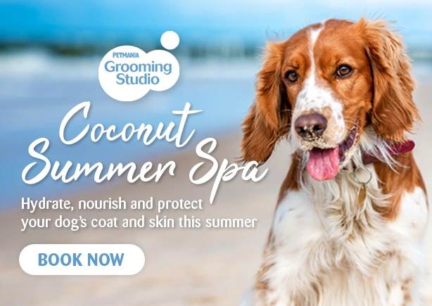 Coconut Summer Spa mobile banner