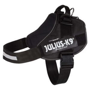 Julius shop k9 ireland