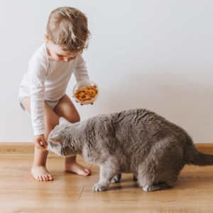 young toddler holding a bowl of food feeding a grey cat from the ground.