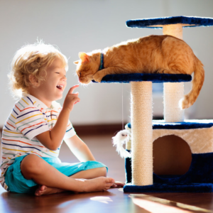 blonde haired child sitting down in a sunlit room, pointing finger at an orange cat who is perched happily on a cat scratcher, intrigued by the toddler