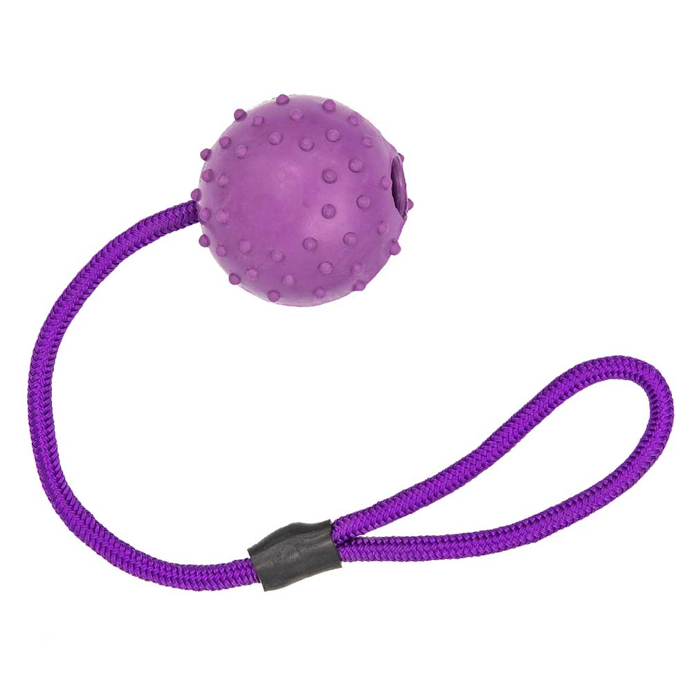 Tuffs Floating Rubber Studded Dog Ball With Rope, 7.5cm