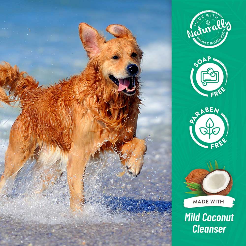 TROPICLEAN Shed Control Pet Shampoo, Lime & Coconut