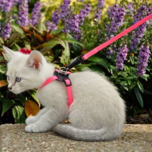 LI'L PALS Kitten Harness & Lead, Neon Pink