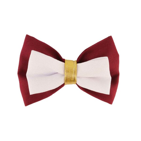 ACCENT Dog Collar Accessory, Burgundy Bow