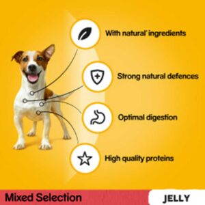 PEDIGREE Dog Pouches Mixed Selection in Jelly, 80x100g Mega Pack