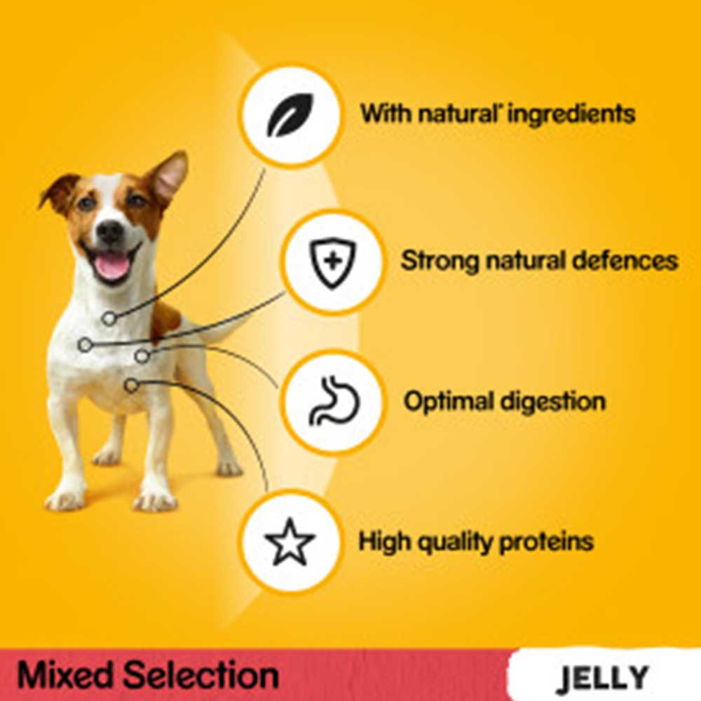 PEDIGREE Dog Pouches Mixed Selection in Jelly, 80x100g Mega Pack