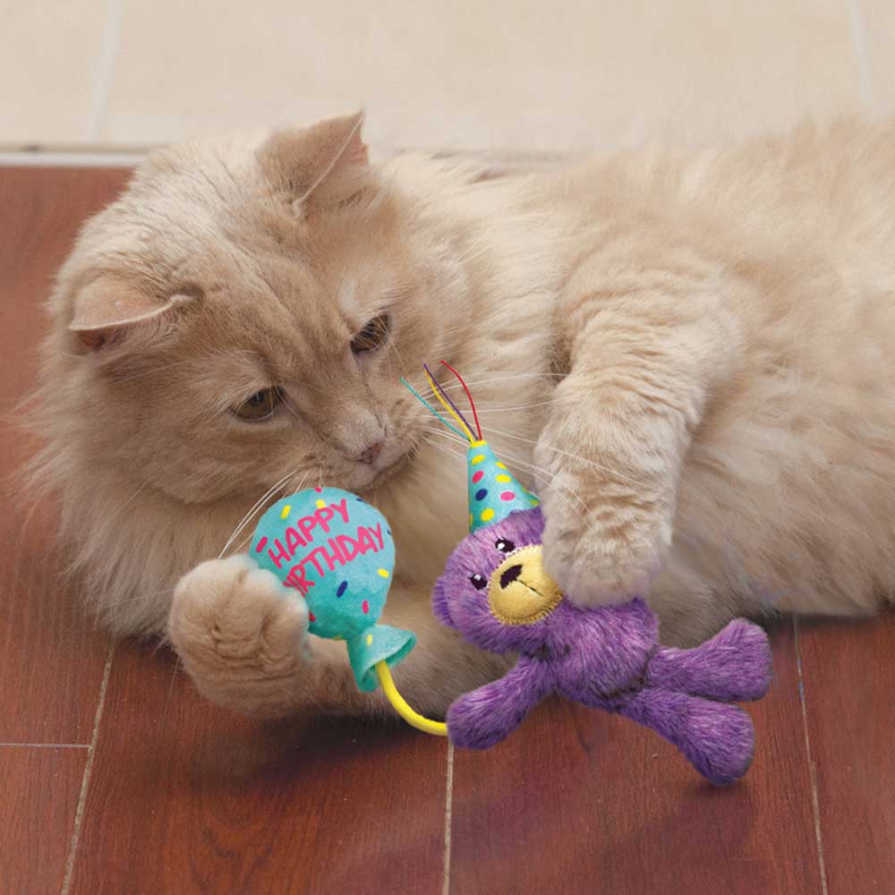 KONG Cat Occasions Birthday Teddy with Catnip