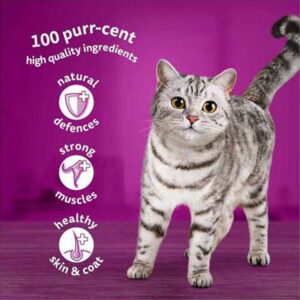 WHISKAS Adult Fish Favourites in Jelly Pouch, Giant Pack 80x85g