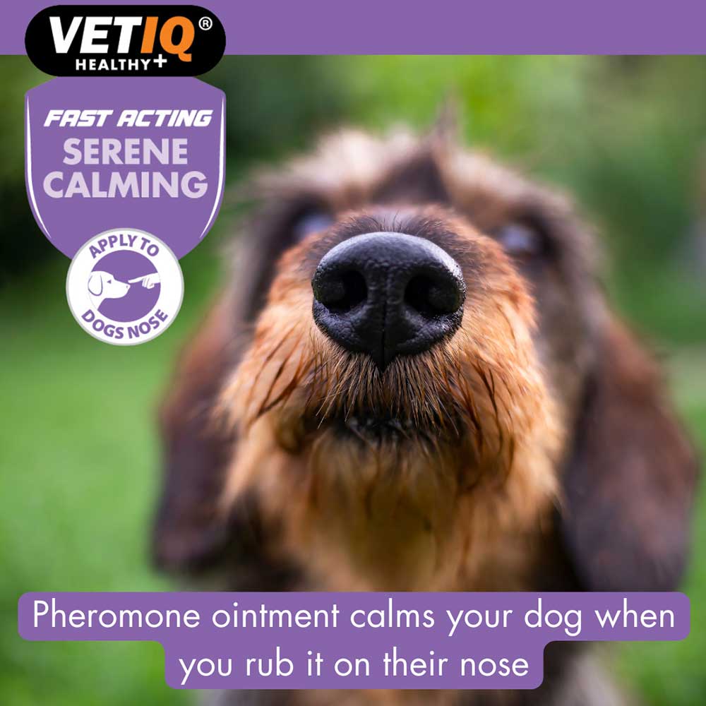 Vetiq Serene Calming Ointment For Dogs & Puppies, 50g