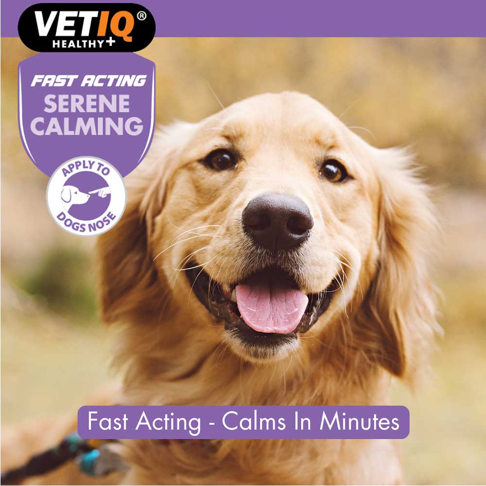 Vetiq Serene Calming Ointment For Dogs & Puppies, 50g