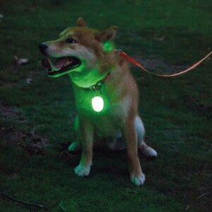 M-PETS Rechargeable LED Jewel, Green