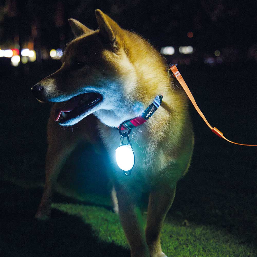 M Pets Rechargeable Led Jewel, White