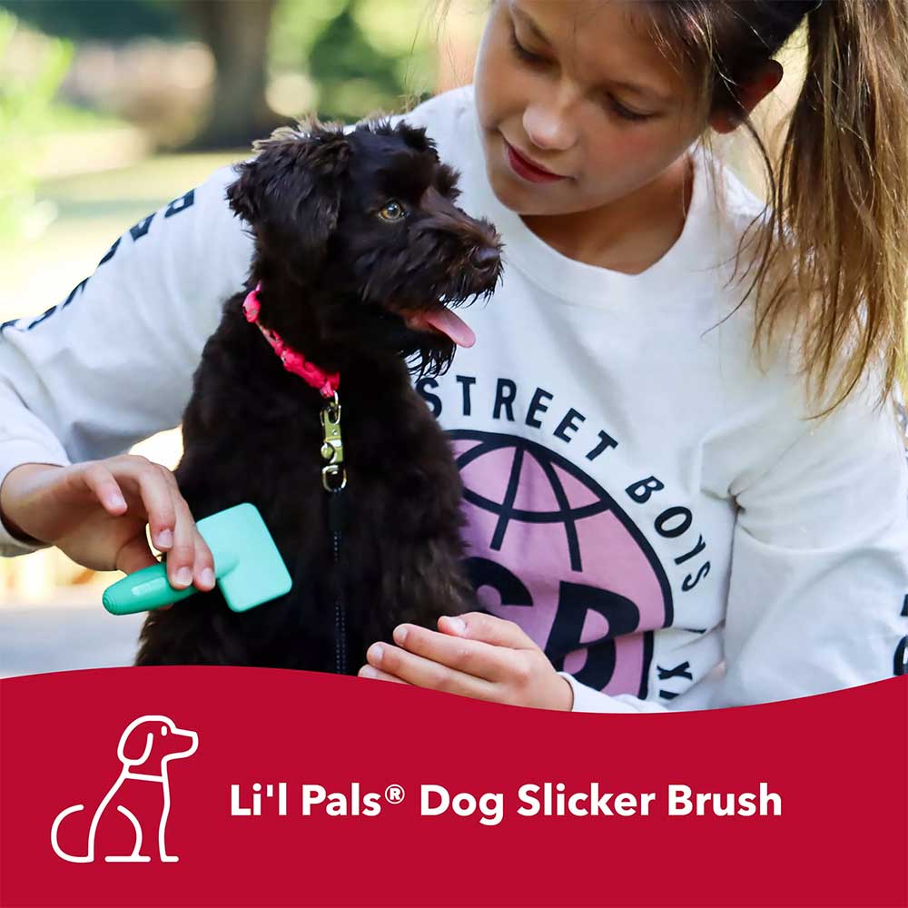 Li’l Pals Dog Slicker Brush With Coated Tips