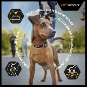 PRO PLAN Optiweight Adult Dog Food, 14kg