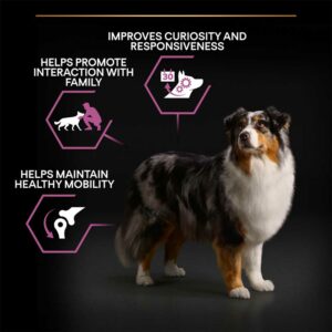 PRO PLAN Optiage Adult (7+) Dog Food, 14Kg