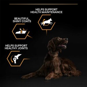 PRO PLAN Large Athletic Everyday Nutrition Chicken Dry Dog Food, 14kg