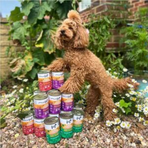 HOWND Hearty Quinoa & Pumpkin Casserole Dog Food, 400g