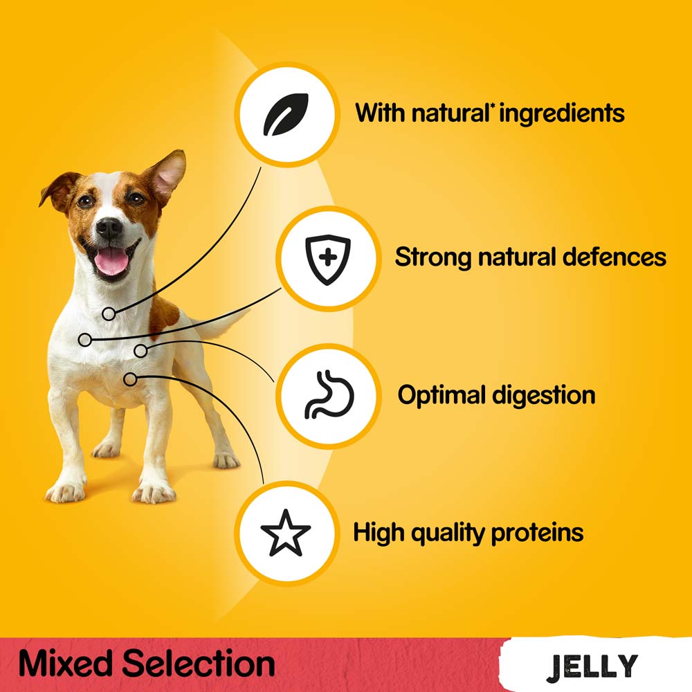 Pedigree Mixed Selection In Jelly Pouch, 12x100g