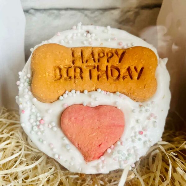 LIFE OF RILEY Doggy Birthday Cake