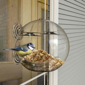 PECKISH Globe Window Feeder for Wild Birds