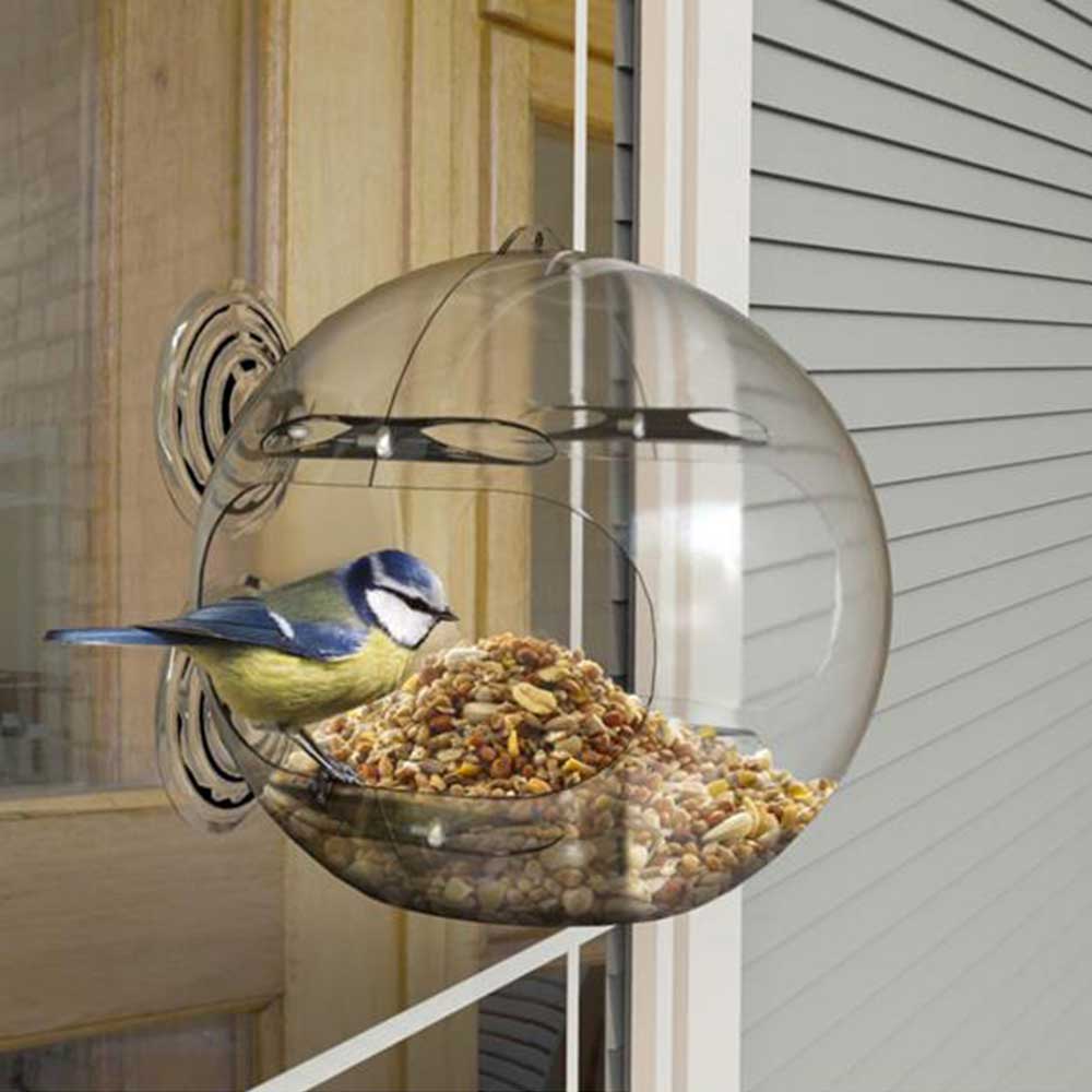 Peckish Globe Window Feeder For Wild Birds
