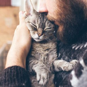 Close-up of beard man in icelandic sweater who is holding and kissing his cute purring Devon Rex cat. Muzzle of a cat and a man's face. Love cats and humans.