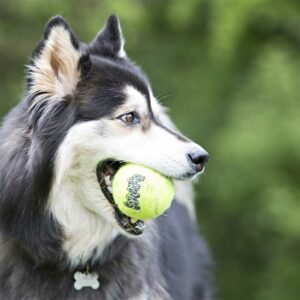 KONG AirSqueak Ball, 2 Pack